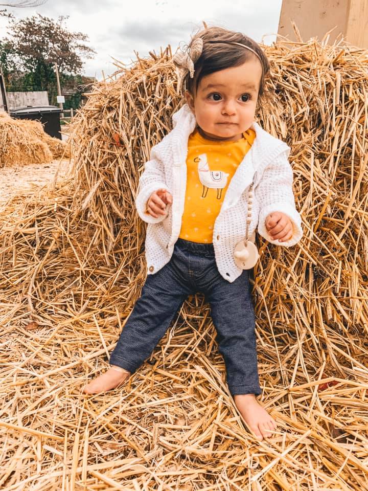 71372362_10213773954243335_2722965143464968192_n