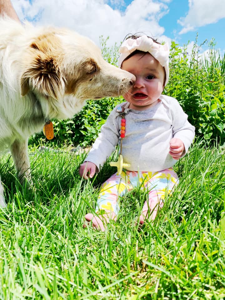 64329865_10213107146453557_6535271642602405888_n (1)