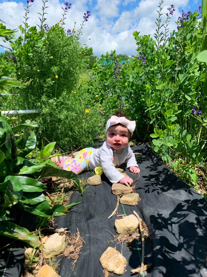 64437523_10213107147653587_4856027343551987712_n