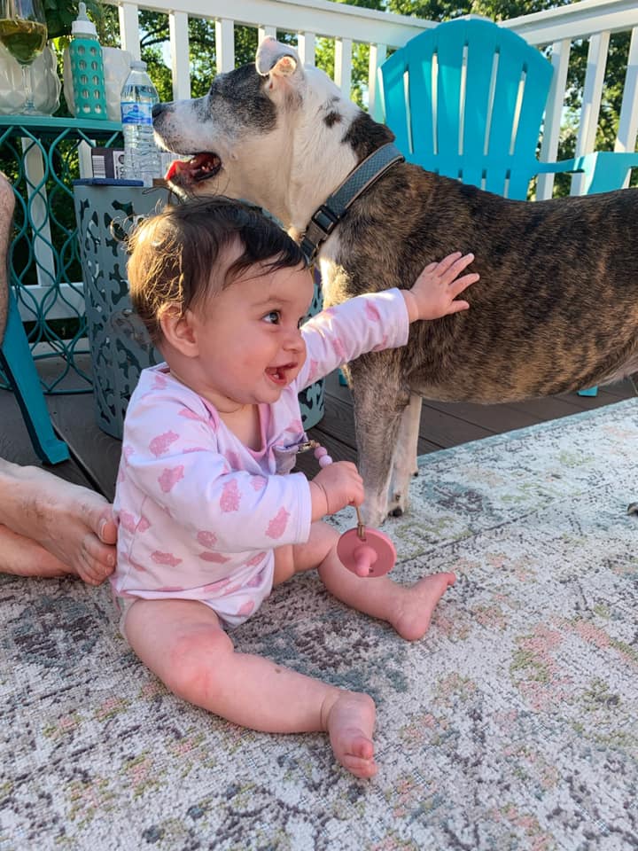 64273963_10213206845625974_5736302649171509248_n