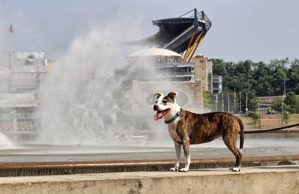 65314730_10213206844865955_7659931081285566464_n