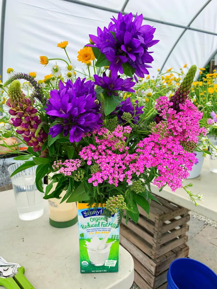 64219176_10213107147853592_6938854029891993600_n