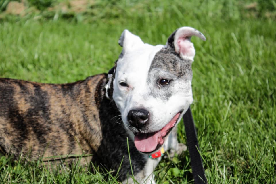 65586276_10213206844465945_5999937766253658112_n